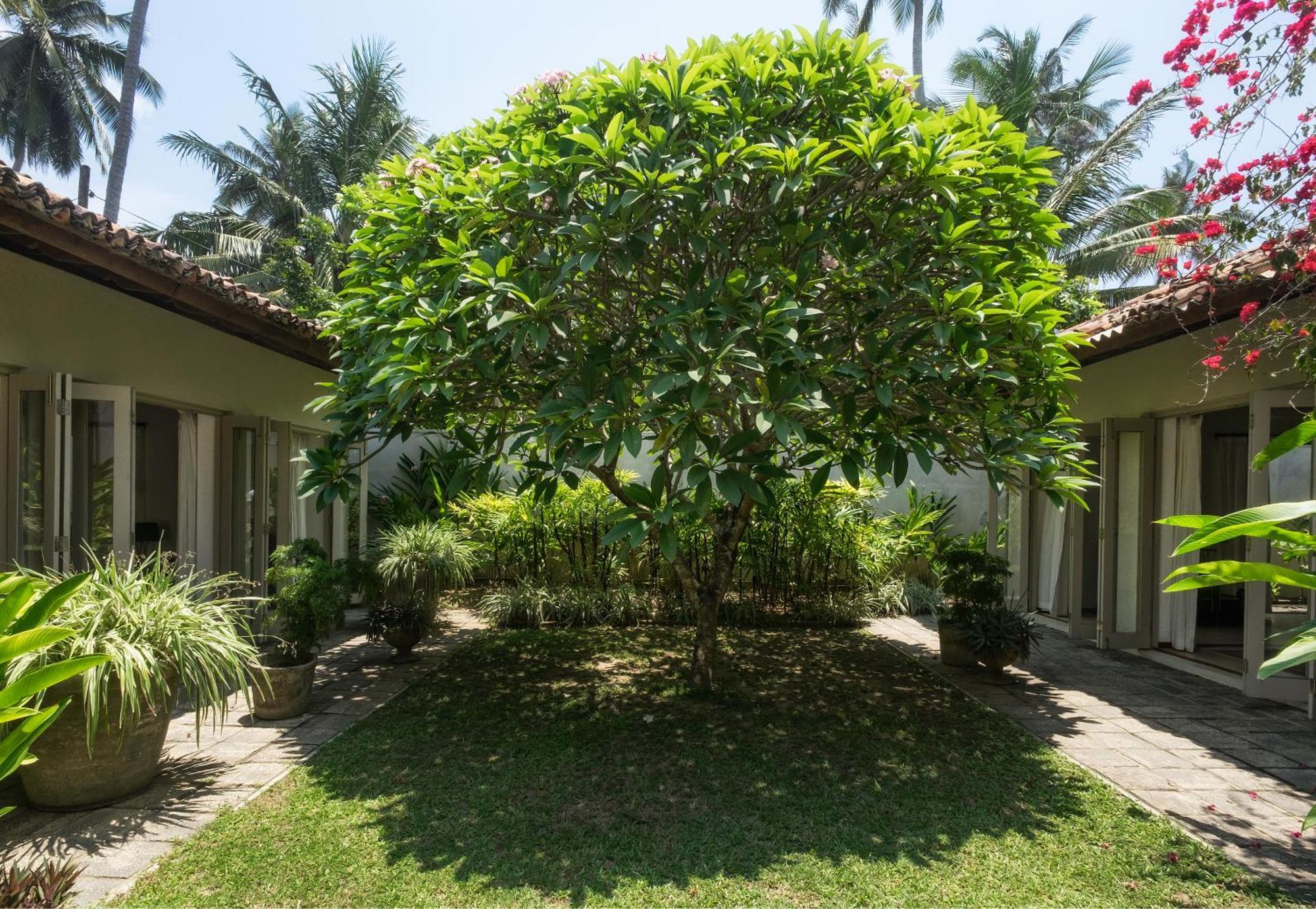 Elysium Hotell Unawatuna Exteriör bild